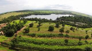 RPPN Fazenda Lagoa, na região de Camapuã, a mais nova Reserva Particular do Patrimônio Natural de Mato Grosso do Sul, criada no Dia Mundial do Meio Ambiente, 5 de junho deste ano (Foto: Semagro/Arquivo)