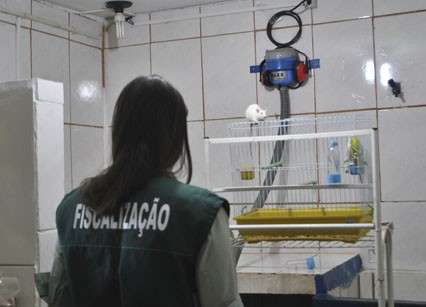 Conselho multa pet shop e veterin&aacute;ria por manter animais sem higiene