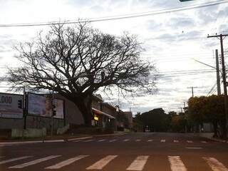 Não há previsão de chuva (Foto: Fernando Antunes)