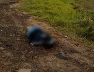 Mulher foi encontrada morta nesta manhã. Polícia suspeita de latrocínio - roubo seguido de morte  (Foto: Fronteira Seca News) 