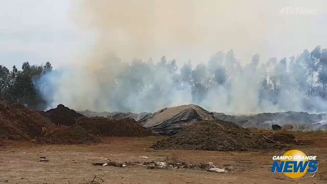 Inc&ecirc;ndio consome &aacute;rea em empresa de compostagem na BR-262