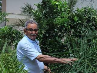 No fundo de casa, para não ficar longe da natureza, José cultiva palmeiras e laranjeiras. (Foto: Marina Pacheco)