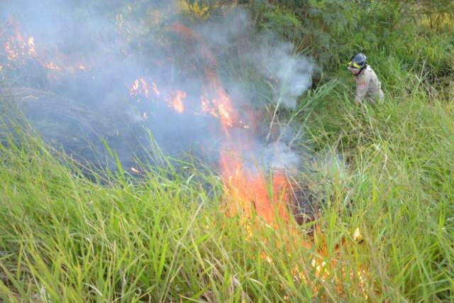  Inc&ecirc;ndio perto da Mata do Segredo preocupa gestores da reserva