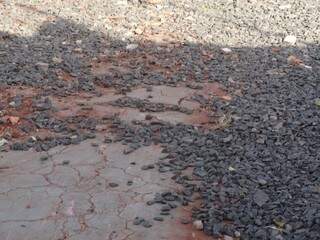 Calçada nao possui o piso tatil para deficientes visuais. (Foto: Nivalcir Moreno)