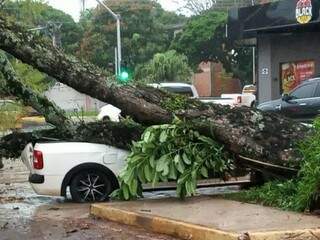 Saveiro ficou destruída após ser atingida por árvore que caiu hoje em Dourados (Foto: Direto das Ruas)