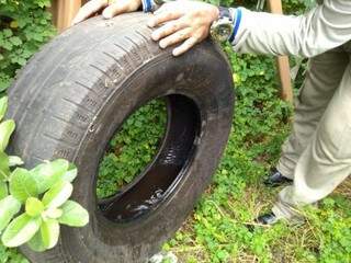 Agente de saúde observa água parada dentro de pneu em quintal de residência (Foto: Arquivo/Campo Grande News)