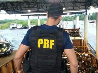 Pol&iacute;cia apreende em Gua&iacute;ra carreta que saiu de MS com 2 mil kg de maconha