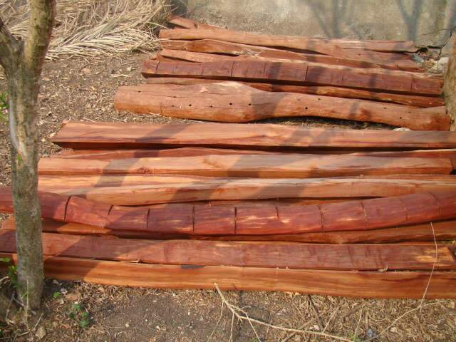  PMA apreende madeiras e motoserra ilegais em assentamento de Lad&aacute;rio