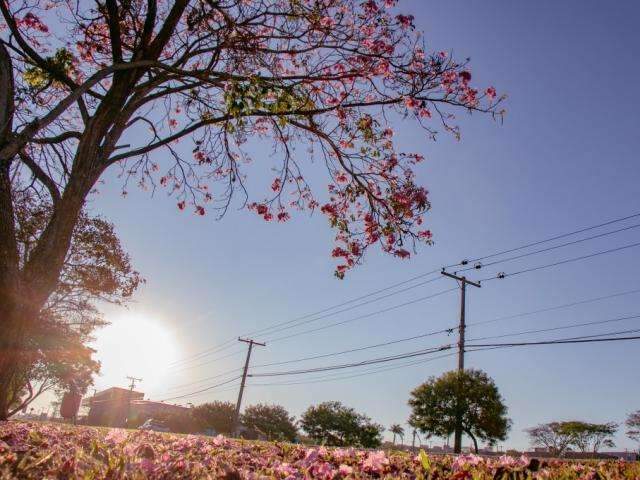 S&aacute;bado ser&aacute; de c&eacute;u parcialmente nublado e calor de 37&deg;C em MS