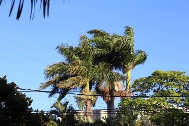 Primavera inicia com ventos fortes, mas sol predomina e m&aacute;xima chega a 34&ordm;C