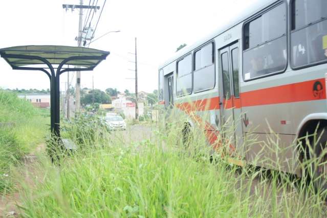  Cal&ccedil;ada some em meio a matagal e pontos de &ocirc;nibus ficam ilhados