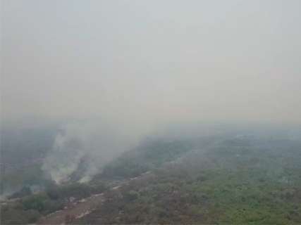 Pantanal registra 460 focos de queimadas nas últimas 48 horas