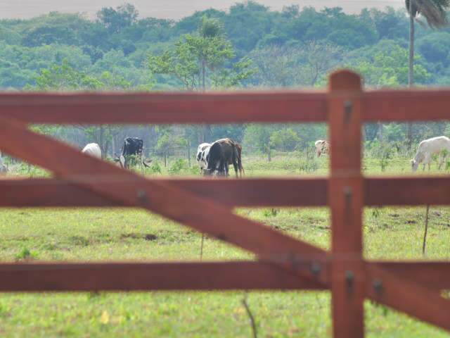  Mais de 60 fazendas foram interditadas por suspeita de irregularidade em MS
