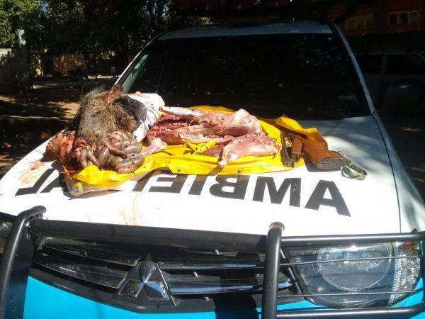 PMA prende pedreiro por ter abatido cateto e apreende rifle e muni&ccedil;&otilde;es