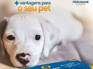 Pet shops têm tabela diferenciada para clientes Fidelidade El Kadri (Foto: Divulgação)
