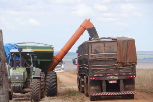 &Aacute;rea plantada cresce, mas clima afeta milho e produ&ccedil;&atilde;o de MS cai 11%