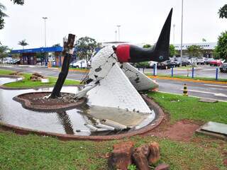 Tuiuiú que fica em frente ao Aeroporto da Capital não resistiu ao temporal e caiu. (João Garrigó)