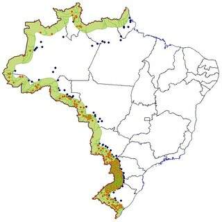 Mapa mostra a faixa de fronteira em 15,9 mil quilômetros da divisa do país com países sul-americanos (Foto: Divulgação)