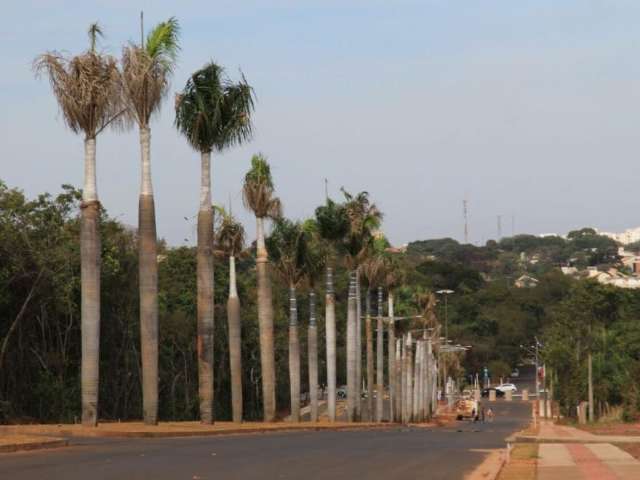 Obras em nova via no Parque dos Poderes chega &agrave; fase final