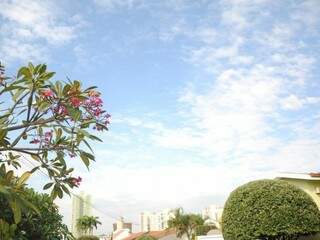 Flores se destacam no céu nublado de Campo Grande, nesta tarde (02). Clima deve ter mudança no fim de semana. (Foto: Paulo Francis)