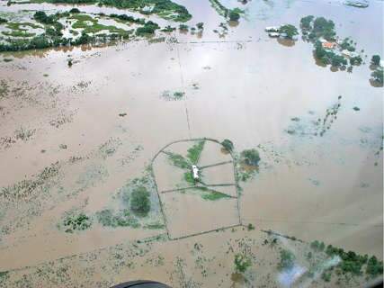  Governo pede estudo, antes de inserir Pantanal em estado de emergência