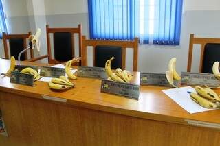 Na Mesa dos trabalhos da Câmara foram colocadas bananas (Fotos: Divulgação)