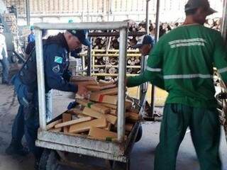 Policiais militares transportando os tabletes da droga até as caldeiras. (Foto: Divulgação Polícia Militar de Bataguassu/Nova Notícias) 