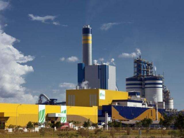Estado &#039;prefere&#039; que empresa brasileira ven&ccedil;a holandesa na compra da Fibria