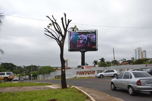 V&iacute;deo mostra caminh&atilde;o com galhos saindo de local onde ip&ecirc; foi podado