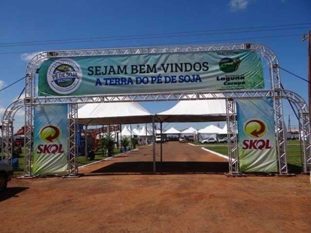 18ª Festa do Pé de Soja Solteiro terá maior pé de soja do mundo