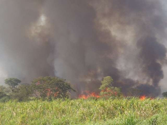 Usina &eacute; multada em R$ 400 mil por inc&ecirc;ndio em canavial