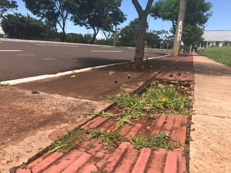 Nos Altos da Avenida Afonso, falha em piso virou "jardim".