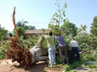 Temporal derrubou árvores e deixou a cidade sem energia elétrica na semana passada. (Foto: Simão Nogueira)