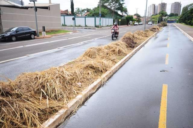 Lixo e terrenos baldios preocupam bairros nobres da Capital