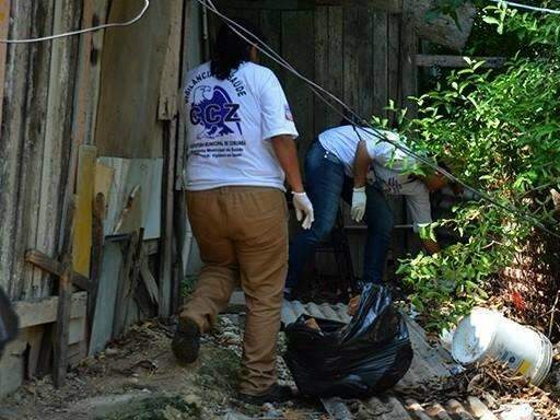 Munic&iacute;pio pode ter surto de dengue; focos do mosquito aumentaram 90% em um ano
