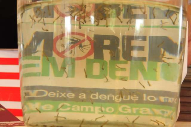 Com 25 mil casos de dengue, Prefeitura pede R$ 5,7 milh&otilde;es