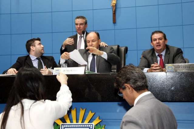 Deputados aprovam identifica&ccedil;&atilde;o de c&atilde;es e gatos por microchips