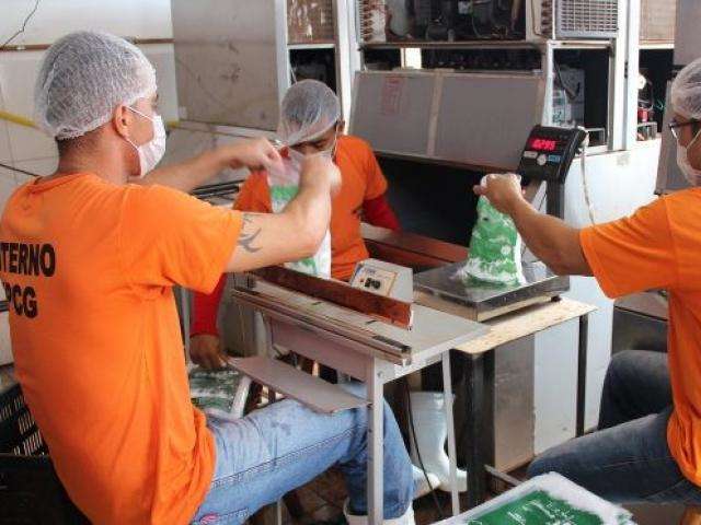 Governo lan&ccedil;a pol&iacute;tica para empregar detentos e egressos de pres&iacute;dios