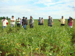 Corpo de ind&iacute;gena de 61 anos &eacute; encontrado esquartejado na aldeia Jaguapiru