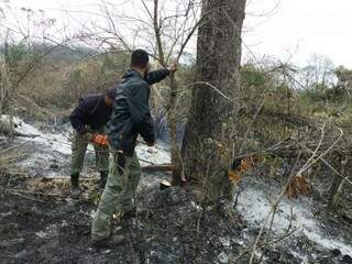 Desde agosto, brigadas combatem focos de incêndio em áreas próximas ao Parque Nacional da Serra de Bodoquena (Foto: Divulgação/ICMBio)