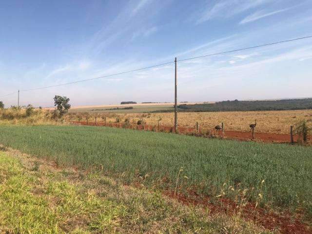 H&aacute; mais de mil horas sem chuvas, Capital est&aacute; em alerta para umidade baixa