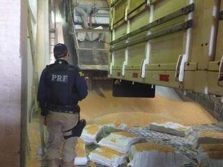 Droga estava escondida em carga de milho a granel (Foto: Divulgação)