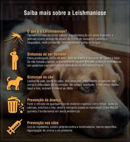 Clima &eacute; o respons&aacute;vel pela redu&ccedil;&atilde;o nos casos de leishmaniose