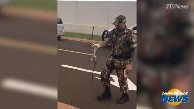 Lagarto fica preso em grade de condom&iacute;nio e &eacute; resgatado por policiais militares