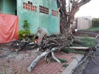 Galhos caíram em frente de residência na Vila Nasser. Ninguém ficou ferido (Foto: Geisy Garnes)