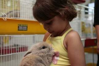 Menina aproveitou exposição para brincar com os coelhos (Foto: Cleber Gellio)