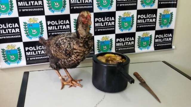 Casal &eacute; preso por furtar dois frangos em s&iacute;tio; um j&aacute; estava na panela