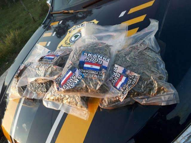 PRF apreende 539 kg de maconha em carro que capotou na BR-267
