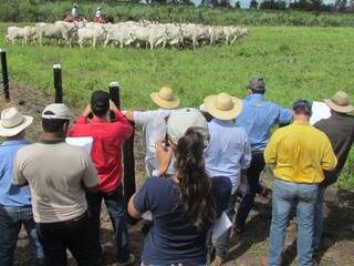 Fazendeiros se reuniram no Pantanal para debater o assunto. (Foto: Divulgação/Assessoria)