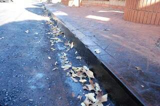 Calçadas e quintais de casas estão sujos com piche (Foto: Simão Nogueira)